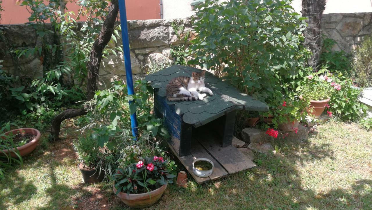 Rivamare - Rovinj Otel Dış mekan fotoğraf